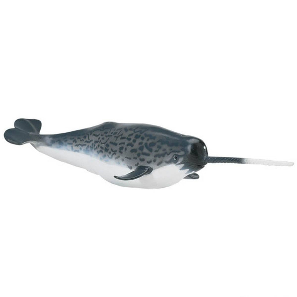 Narwhal Sea Life Safari Ltd