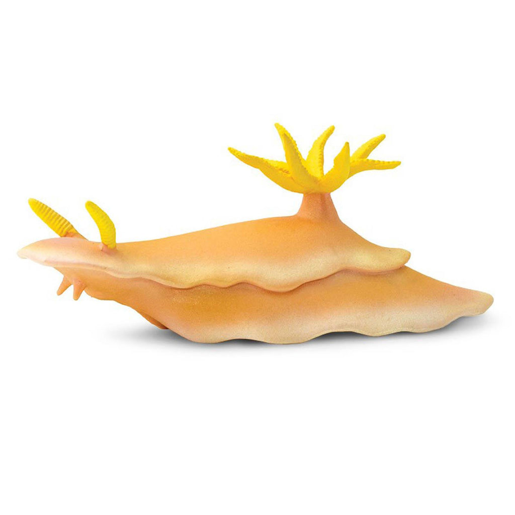 Nudibranch Incredible Creatures Figure Safari Ltd - Radar Toys