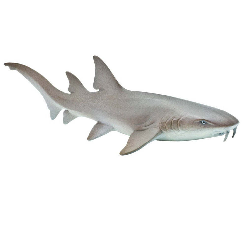 Nurse Shark Sea Life Figure Safari Ltd
