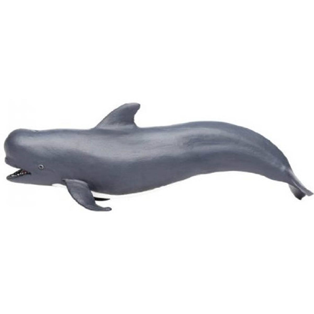 Pilot Whale Sea Life Safari Ltd - Radar Toys