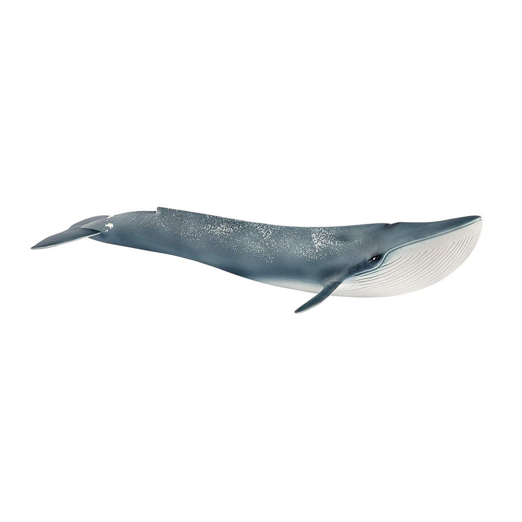 Schleich Blue Whale Ocean Figure