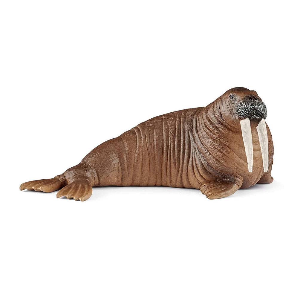 Schleich Walrus Animal Figure - Radar Toys