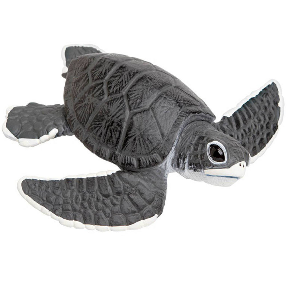 Sea Turtle Baby Incredible Creatures Figure Safari Ltd - Radar Toys