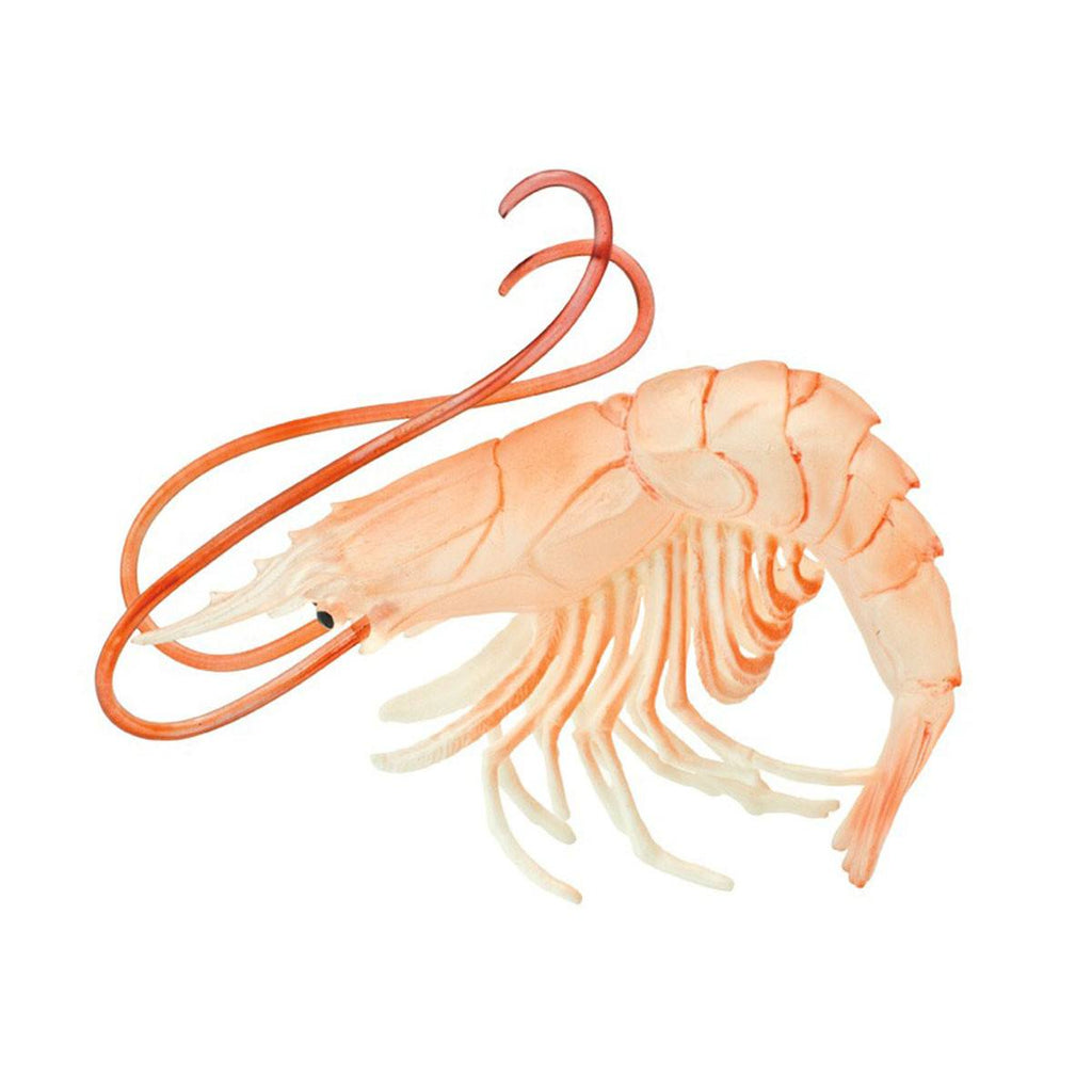 Shrimp Incredible Creatures Figure Safari Ltd - Radar Toys
