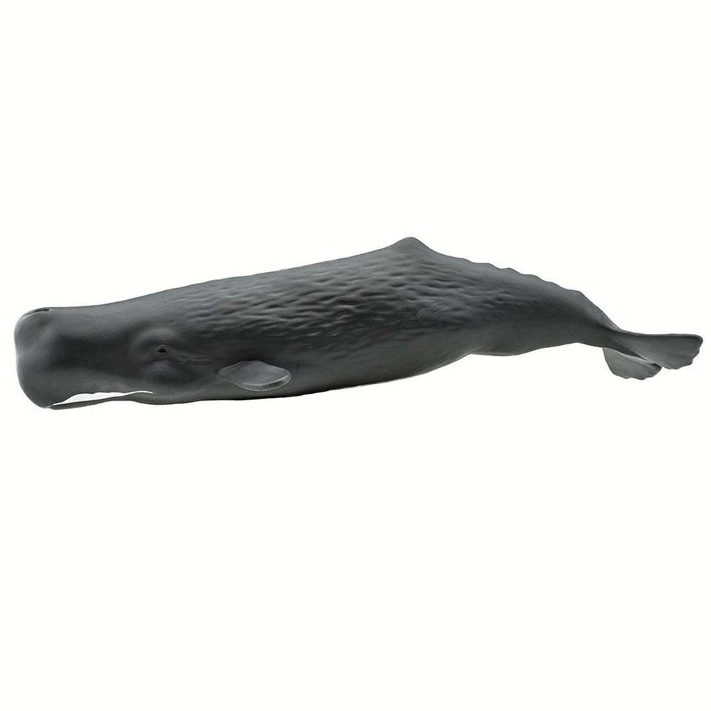 Sperm Whale Wild Safari Ocean Figure Safari Ltd 100209
