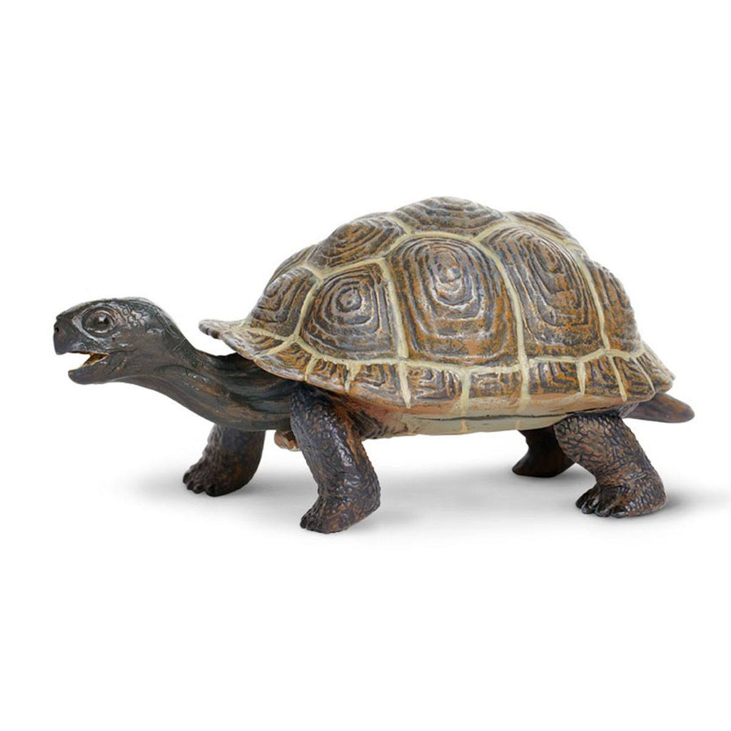 Tortoise Baby Incredible Creatures Figure Safari Ltd - Radar Toys