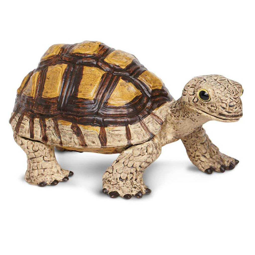 Tortoise Incredible Creatures Figure Safari Ltd - Radar Toys