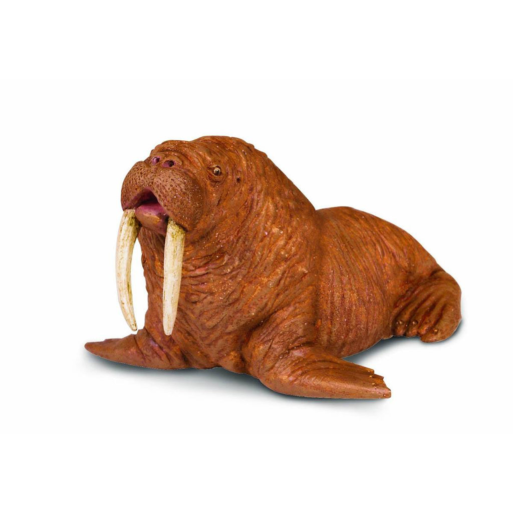 Walrus Sea Life Figure Safari Ltd