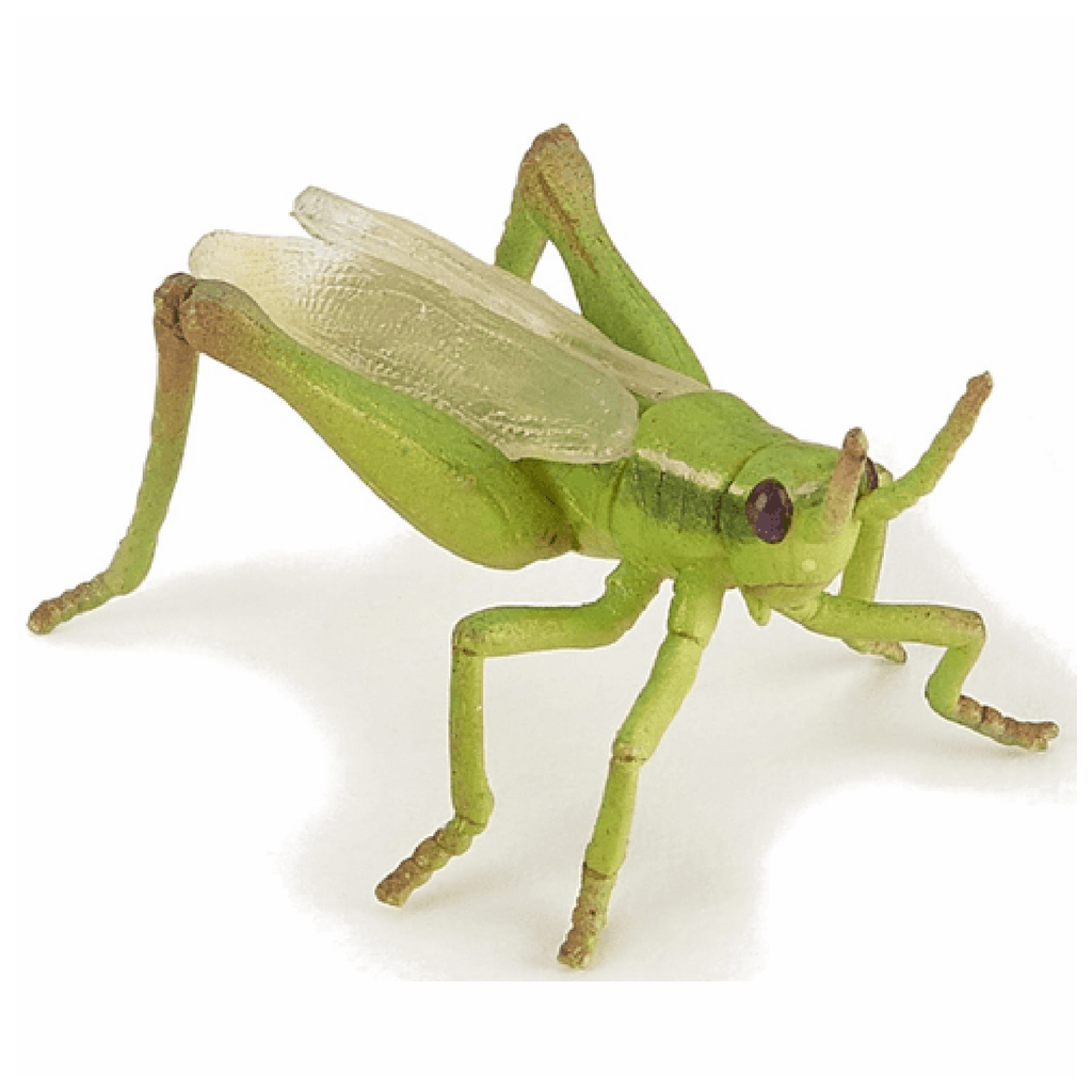 Papo Grasshopper Animal Figure 50268 - Radar Toys