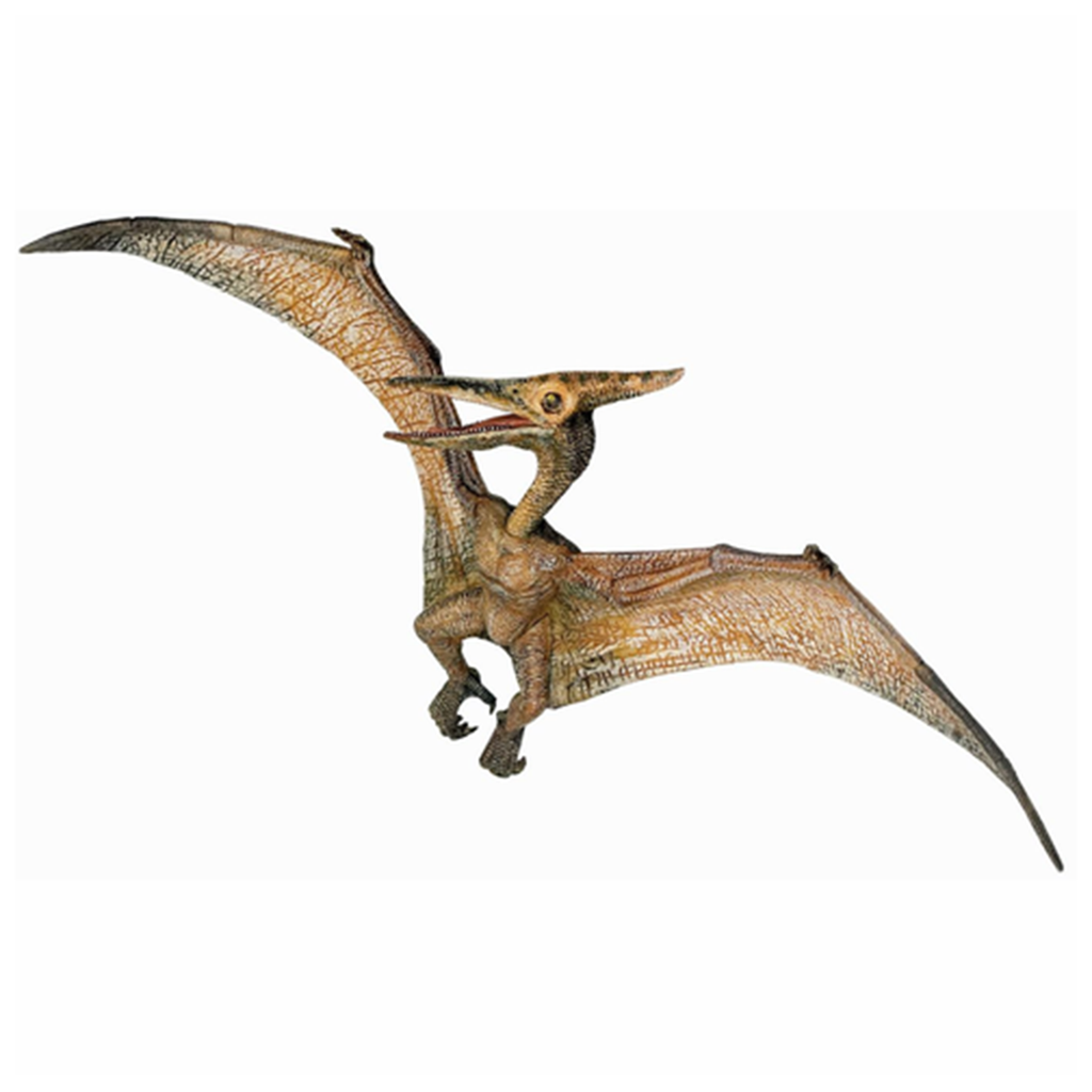 Papo Pteradon Animal Figure 55006 - Radar Toys