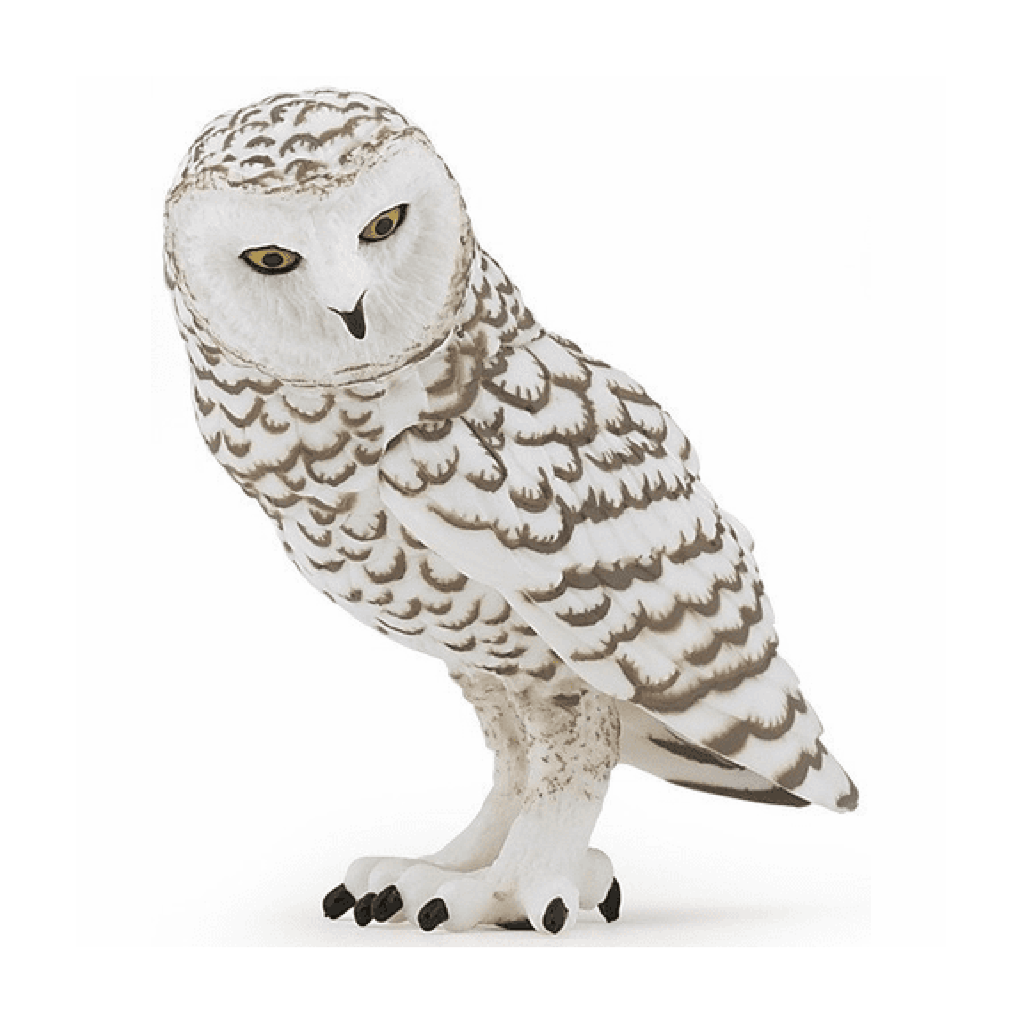 Papo Snowy Owl Animal Figure 50167 - Radar Toys