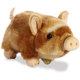 Aurora Miyoni Pot-Bellied Piglet Two Color 11 Inch Plush Figure - Radar Toys