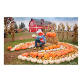 Archie McPhee Lord Unicorn And His Pumpkin Kingdom 1000 Piece Puzzle - Radar Toys