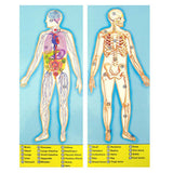 Melissa And Doug Human Anatomy 100 Piece Floor Puzzle - Radar Toys
