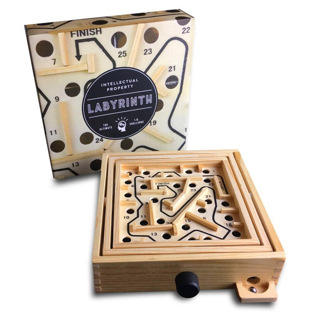 Project Genius Labyrinth The Ultimate IQ Challenge Game - Radar Toys