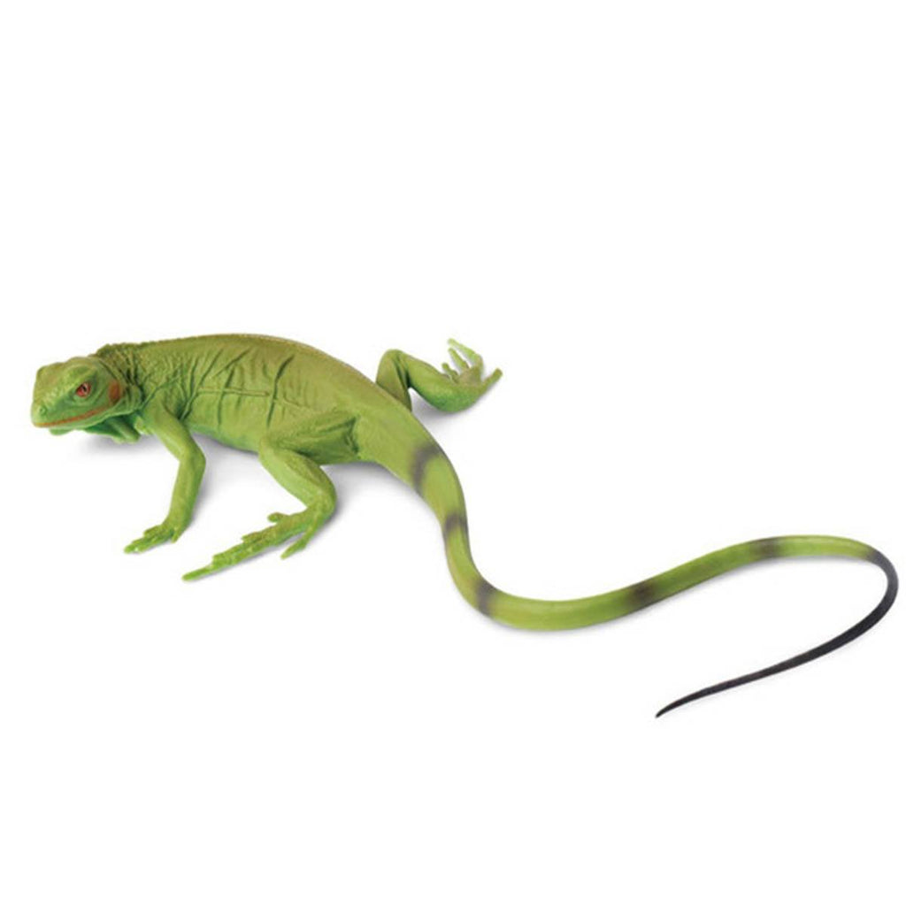 Iguana Baby Incredible Creatures Figure Safari Ltd