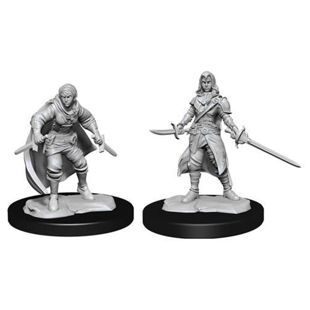 Dungeons And Dragons Female Half Elf Rogue Nolzur's Miniatures