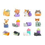 Trash Kitties Mystery Box Mini Figure - Radar Toys