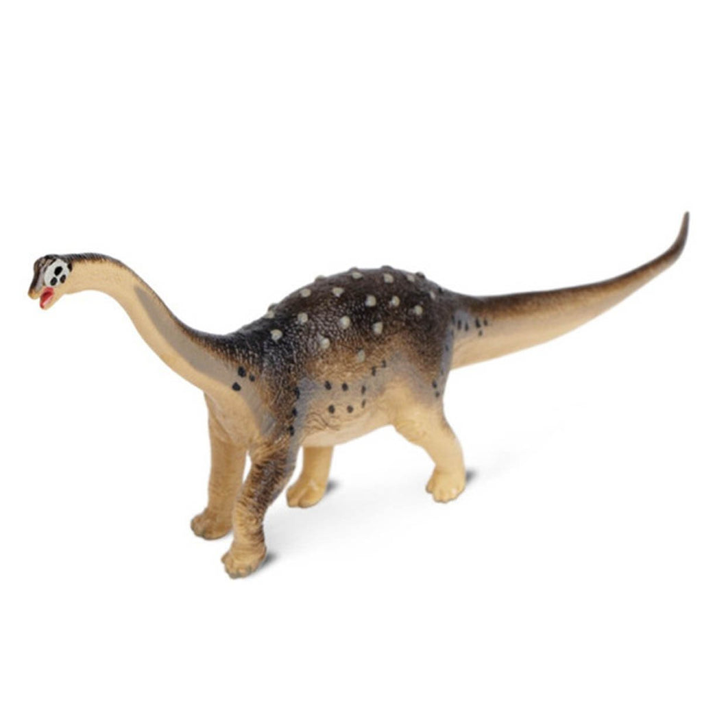 Saltasaurus Carnegie Dinosaur Collectibles Safari Ltd - Radar Toys