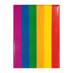 Ata-Boy Pride Flag Magnet - Radar Toys