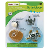 Sea Turtle Life Cycle Mini Figures Safari Ltd - Radar Toys