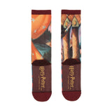 Harry Potter And The Sorcerer's Stone Single Pair Large Crew Socks - Radar Toys