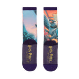 Harry Potter Prisoner Of Azkaban Single Pair Large Crew Socks - Radar Toys
