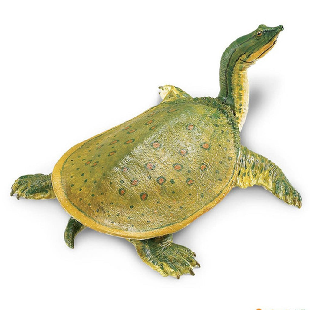 Soft Shell Turtle Incredible Creatures Safari Ltd - Radar Toys